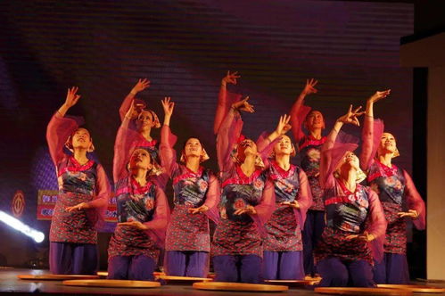 草根藝術(shù)團(tuán)綻芳華 順德社區(qū)巡演三載情，央視舞臺展風(fēng)采